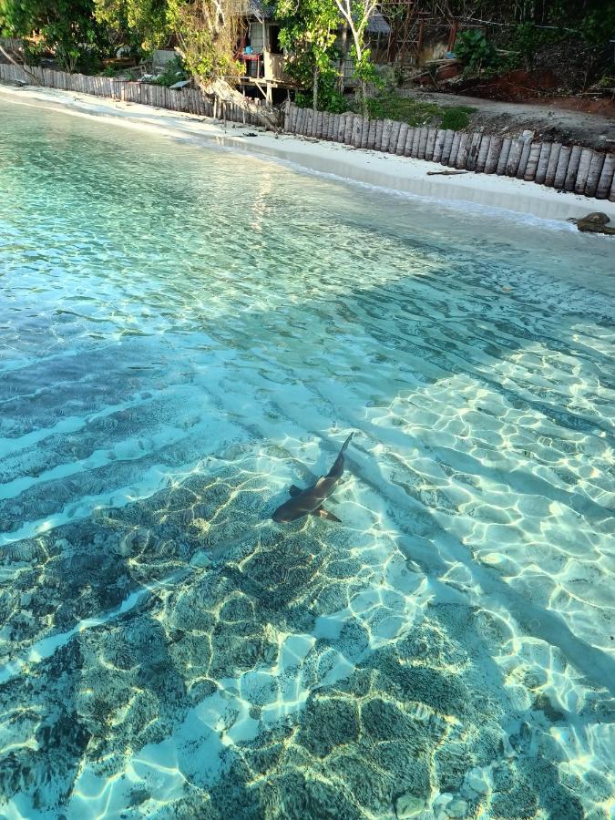 Warahnus Dive Homestay Kri المظهر الخارجي الصورة